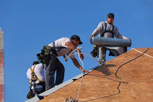 Best Roof Restoration Services  in Benton, IL